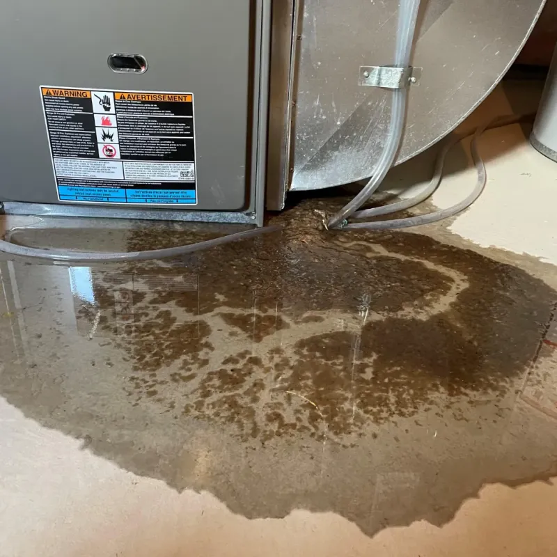 Appliance Leak Cleanup in Inverness Highlands South, FL